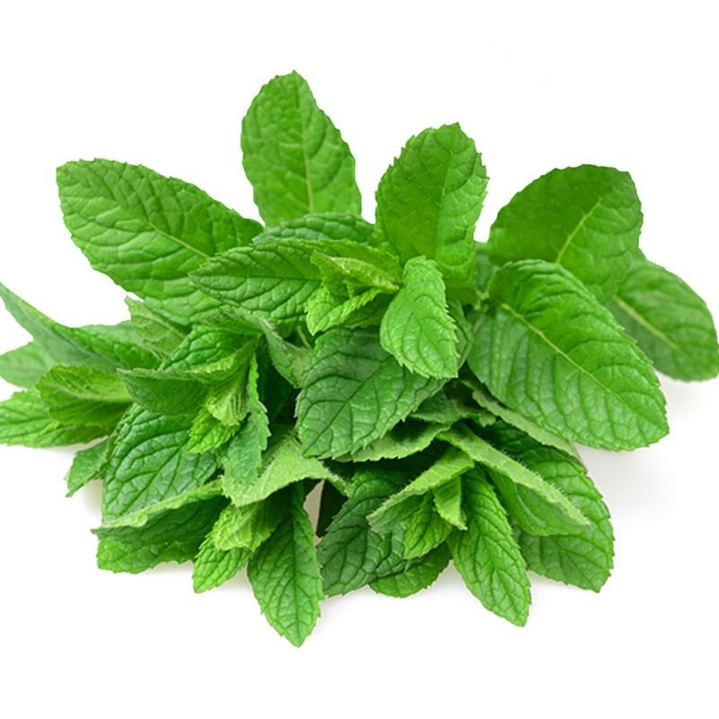Mint Powder